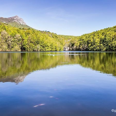 Santa Fe de Montseny Hostal L'Avet Blau旅舍 外观 照片